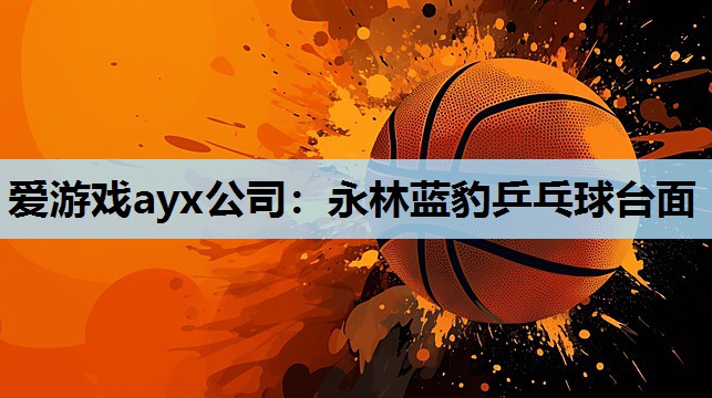 爱游戏ayx公司：永林蓝豹乒乓球台面