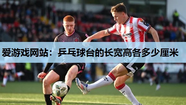 爱游戏网站：乒乓球台的长宽高各多少厘米
