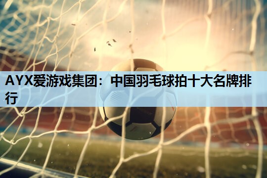 AYX爱游戏集团：中国羽毛球拍十大名牌排行