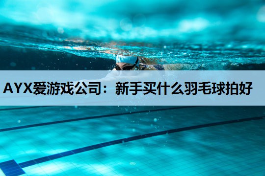AYX爱游戏公司：新手买什么羽毛球拍好