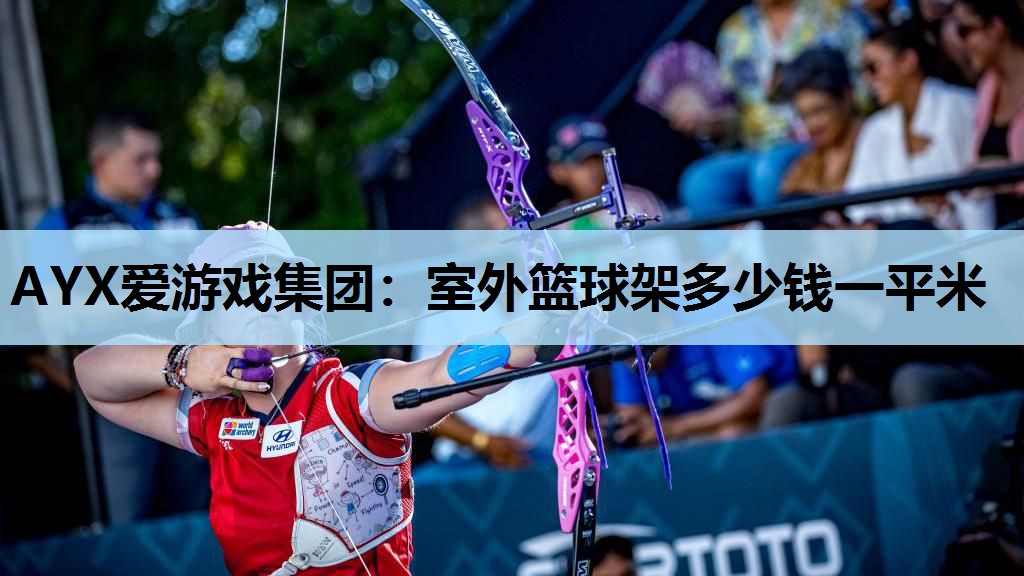 AYX爱游戏集团：室外篮球架多少钱一平米