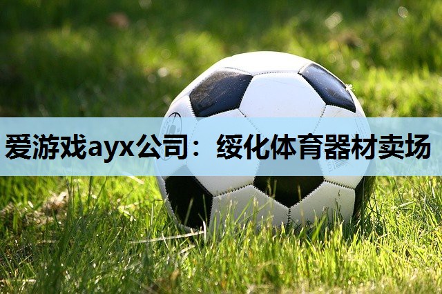 爱游戏ayx公司：绥化体育器材卖场