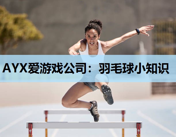 AYX爱游戏公司：羽毛球小知识