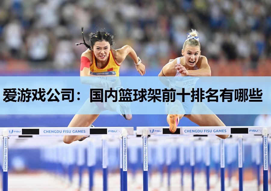 爱游戏公司：国内篮球架前十排名有哪些