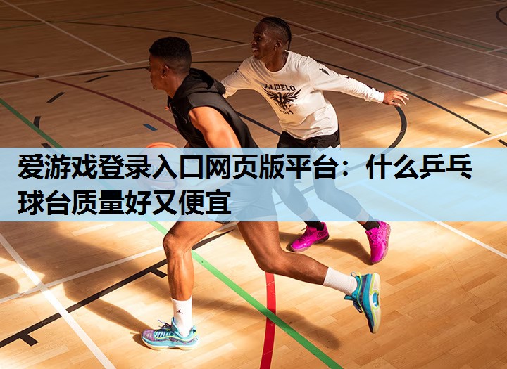 爱游戏登录入口网页版平台：什么乒乓球台质量好又便宜
