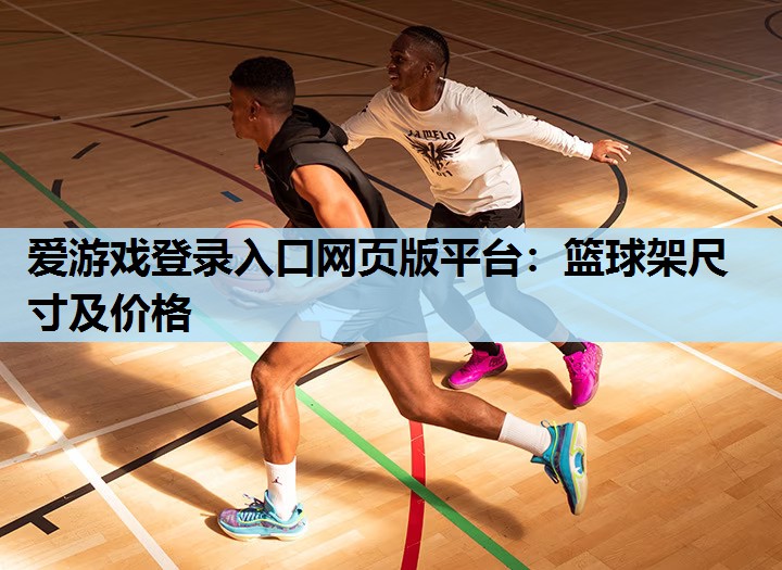 爱游戏登录入口网页版平台：篮球架尺寸及价格