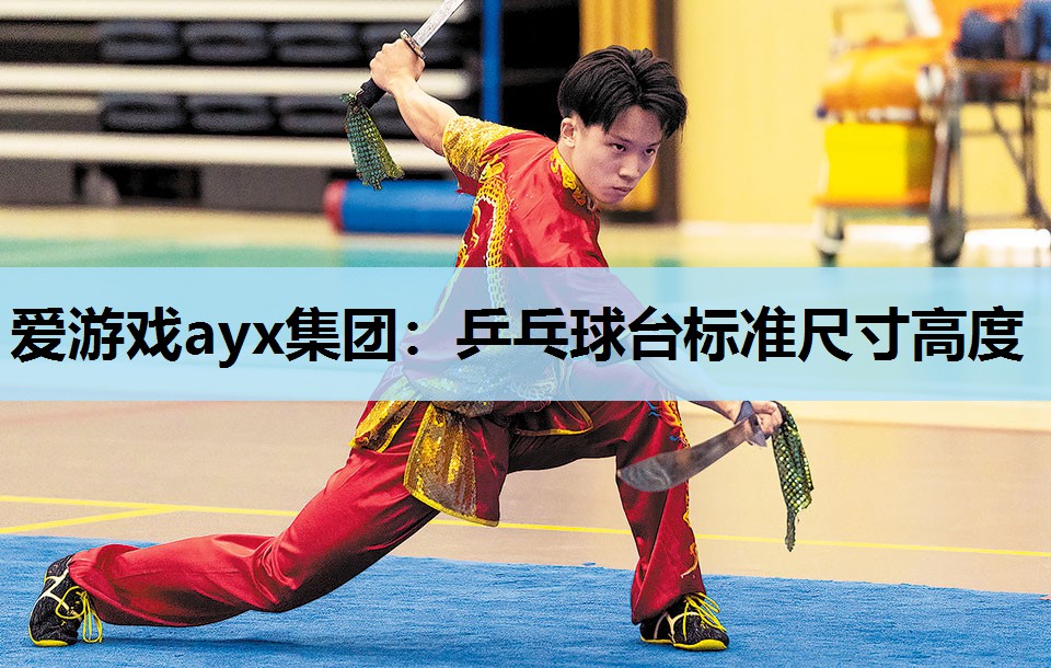 爱游戏ayx集团：乒乓球台标准尺寸高度
