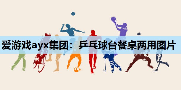 爱游戏ayx集团：乒乓球台餐桌两用图片
