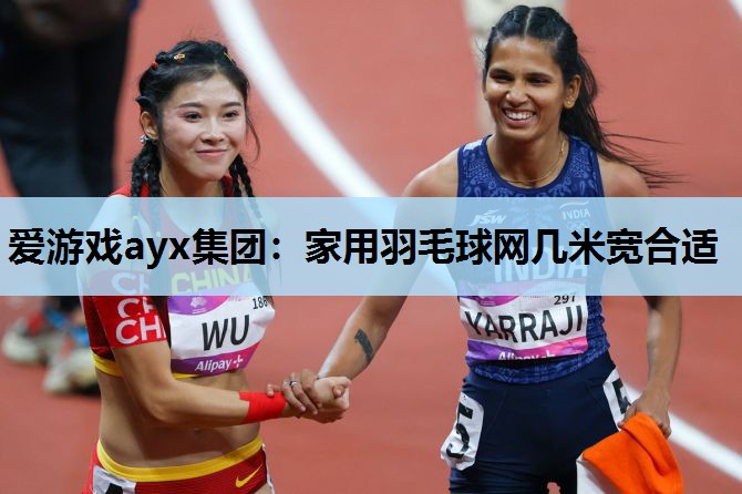 爱游戏ayx集团：家用羽毛球网几米宽合适