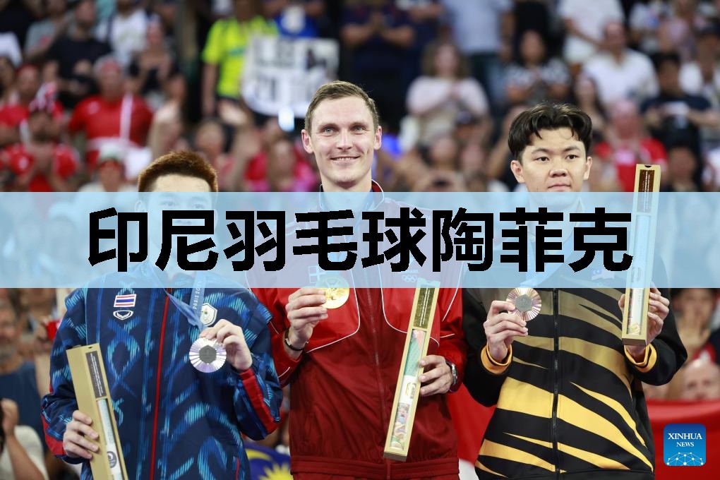 印尼羽毛球陶菲克