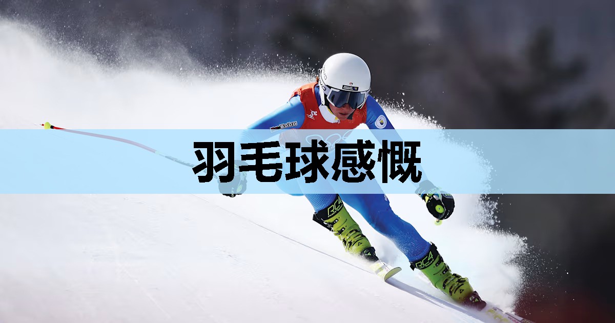 羽毛球感慨