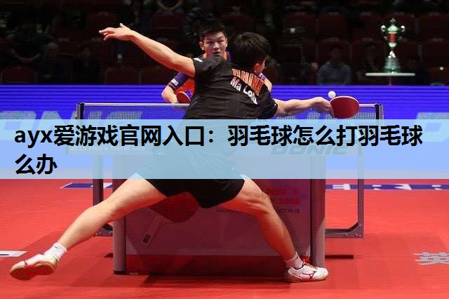 ayx爱游戏官网入口：羽毛球怎么打羽毛球么办