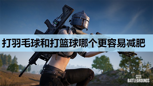 打羽毛球和打篮球哪个更容易减肥