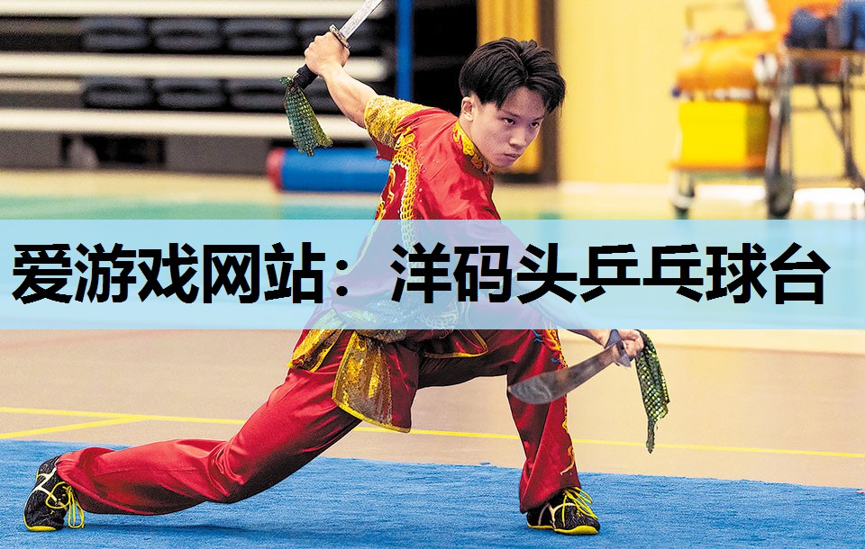 洋码头乒乓球台 洋码头乒乓球台