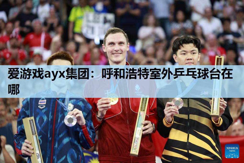 呼和浩特室外乒乓球台在哪 呼和浩特室外乒乓球台在哪