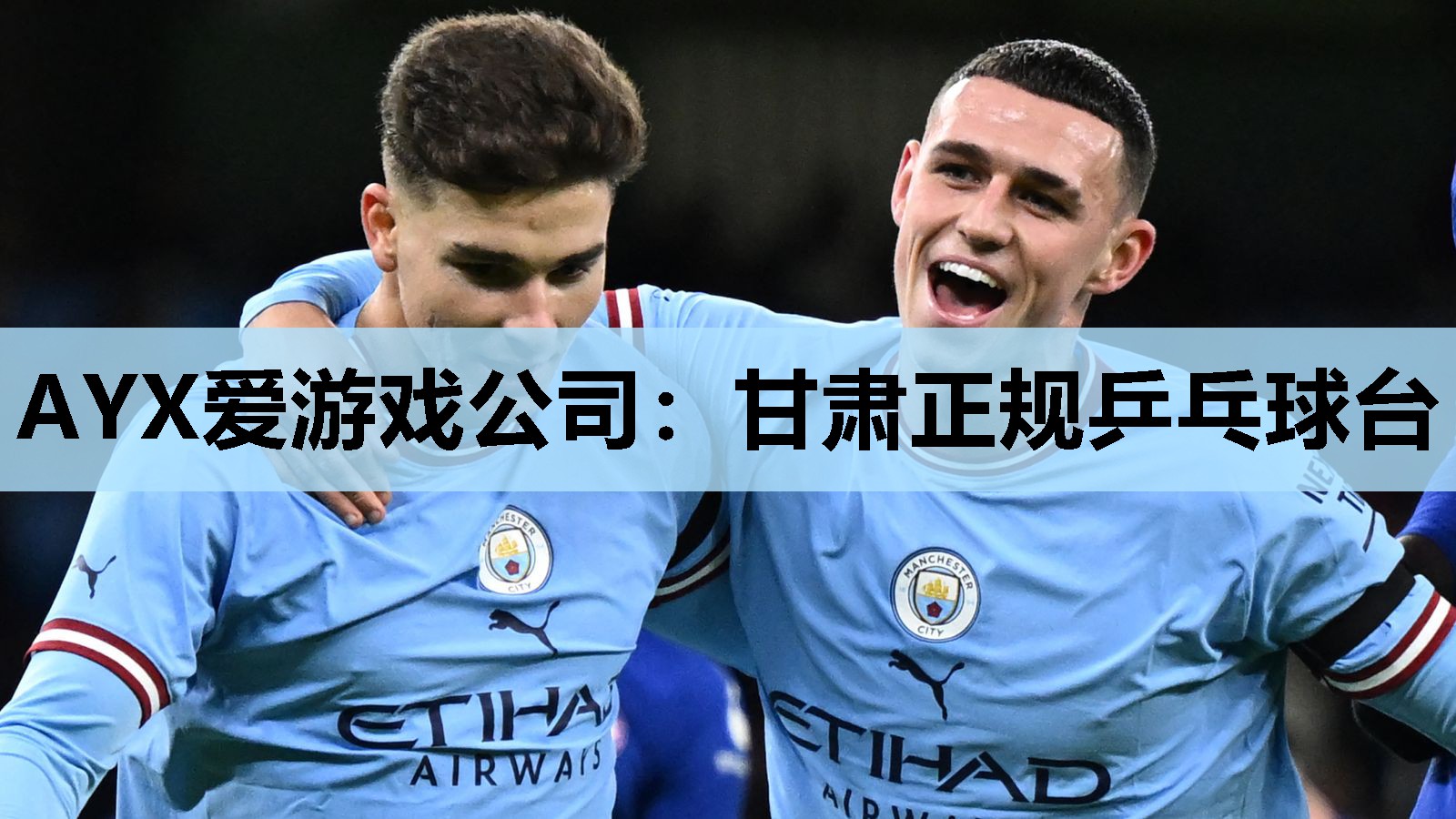 甘肃正规乒乓球台 甘肃正规乒乓球台
