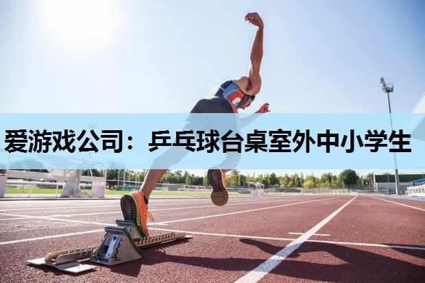 乒乓球台桌室外中小学生 乒乓球台桌室外中小学生
