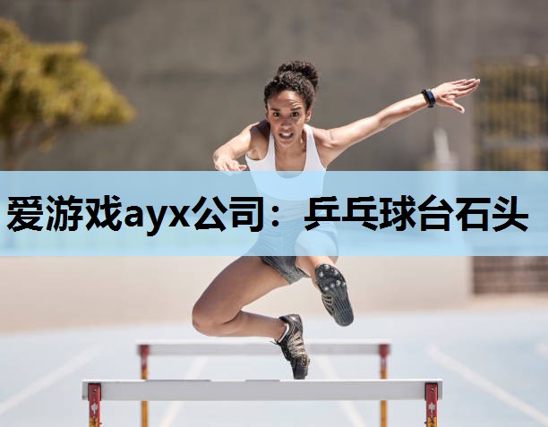 乒乓球台石头 乒乓球台石头