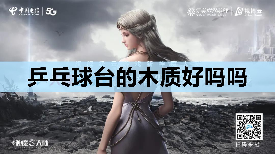 乒乓球台的木质好吗吗 乒乓球台的木质好吗吗