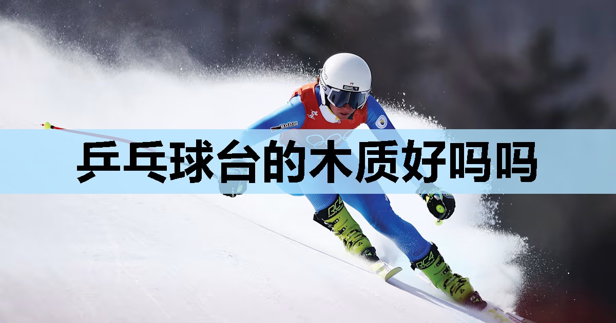 乒乓球台的木质好吗吗 乒乓球台的木质好吗吗
