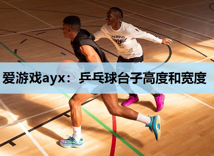 乒乓球台子高度和宽度 乒乓球台子高度和宽度