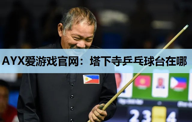 塔下寺乒乓球台在哪 塔下寺乒乓球台在哪