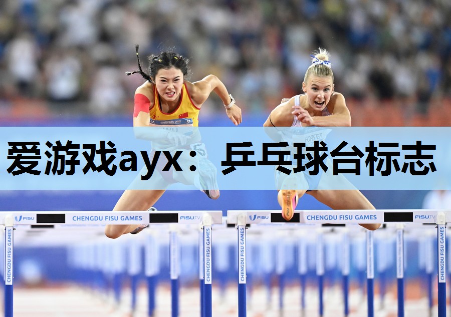 乒乓球台标志 乒乓球台标志