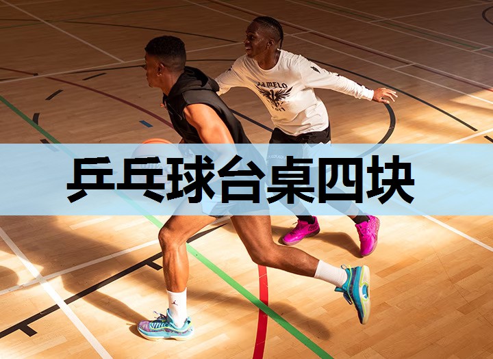乒乓球台桌四块 乒乓球台桌四块