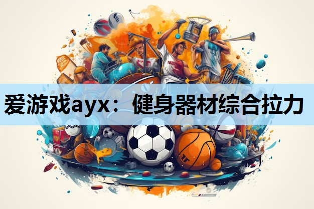 健身器材综合拉力 健身器材综合拉力