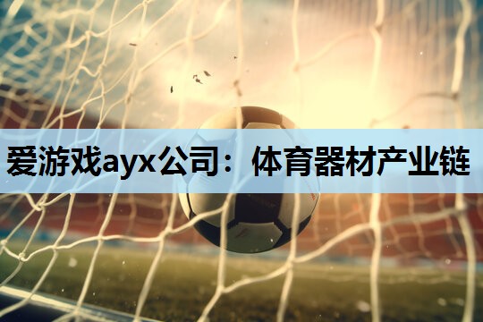 体育器材产业链 体育器材产业链