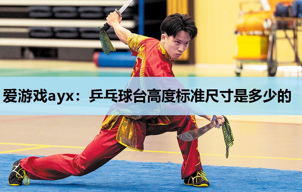 乒乓球台高度标准尺寸是多少的 乒乓球台高度标准尺寸是多少的
