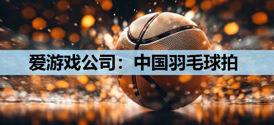 中国羽毛球拍 中国羽毛球拍