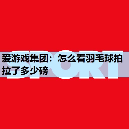 怎么看羽毛球拍拉了多少磅 怎么看羽毛球拍拉了多少磅
