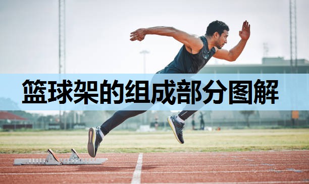 篮球架的组成部分图解 篮球架的组成部分图解