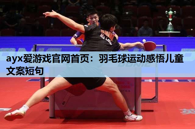 羽毛球运动感悟儿童文案短句 羽毛球运动感悟儿童文案短句