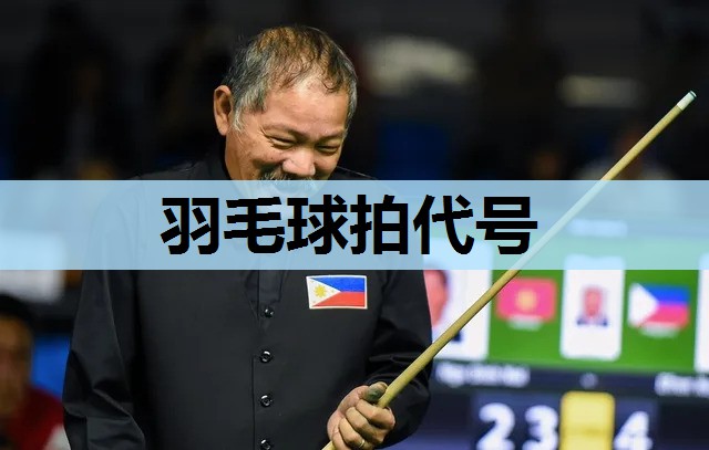 羽毛球拍代号 羽毛球拍代号