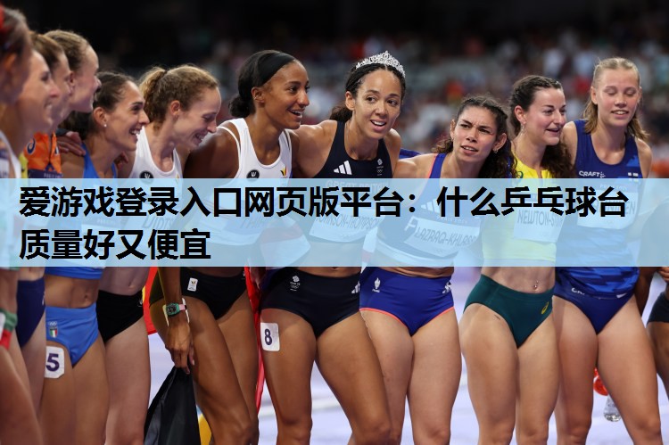 什么乒乓球台质量好又便宜 什么乒乓球台质量好又便宜