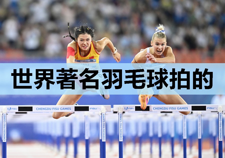 世界著名羽毛球拍的 世界著名羽毛球拍的