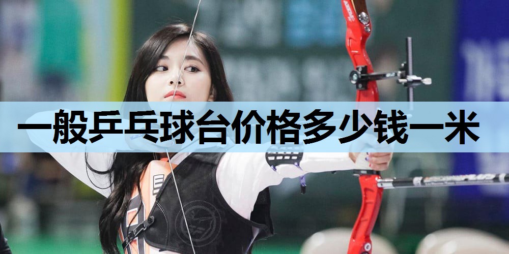 一般乒乓球台价格多少钱一米 一般乒乓球台价格多少钱一米