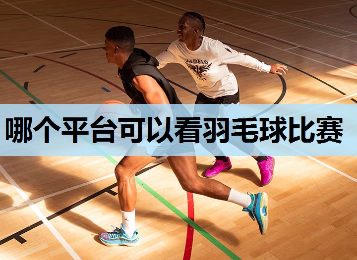 哪个平台可以看羽毛球比赛 哪个平台可以看羽毛球比赛