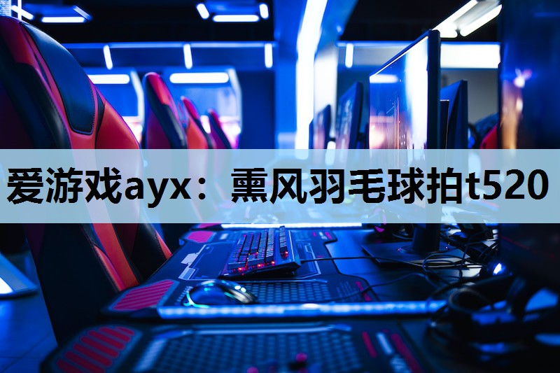 熏风羽毛球拍t520 熏风羽毛球拍t520